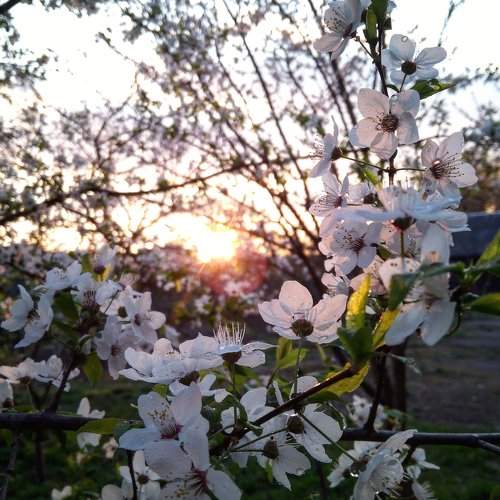 Photo #2436449