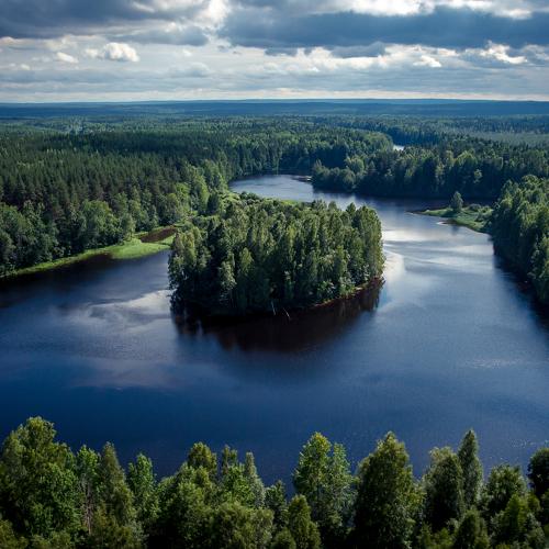 Остров на реке Шуя, Карелия