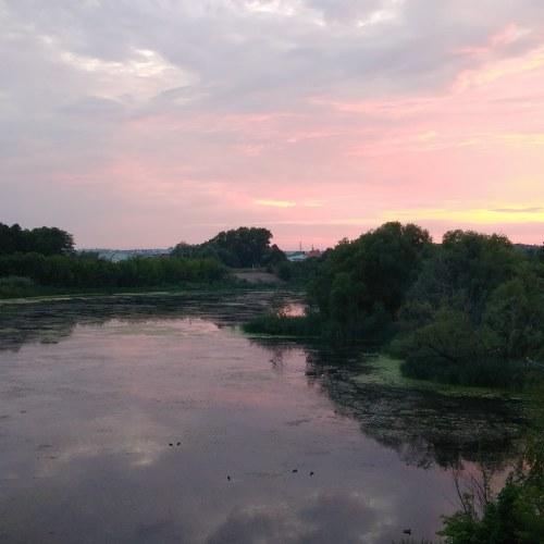 Photo #2436638
