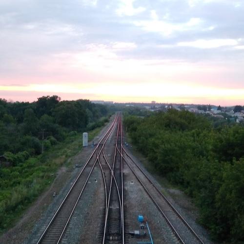 Photo #2436640