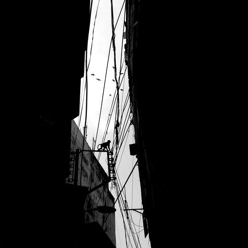 A life on line, and a slice of sky