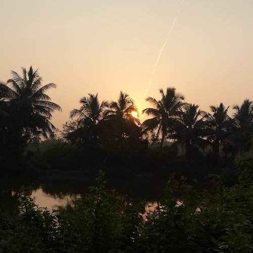 Sunrise