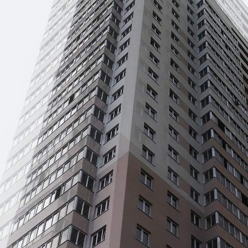 Photo #2439003