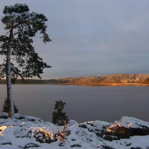 На севере диком