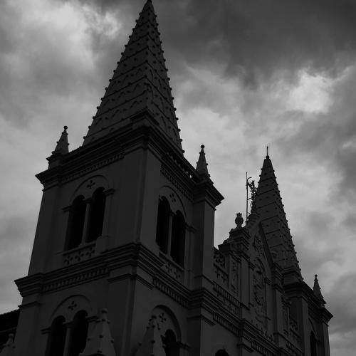 Photo #2440863