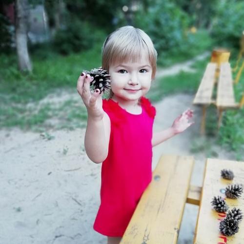 Собираем шишки.