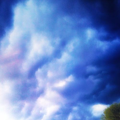 Photo #2441408