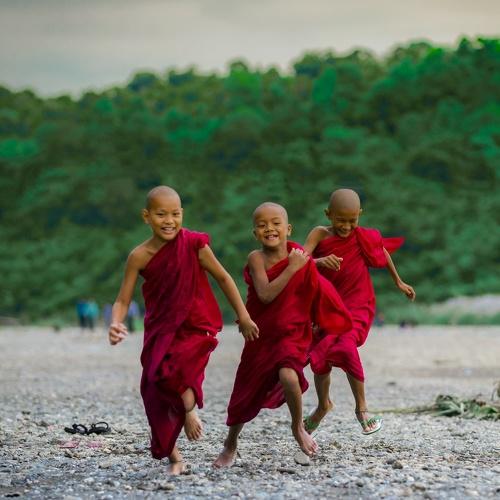 Happy Novices