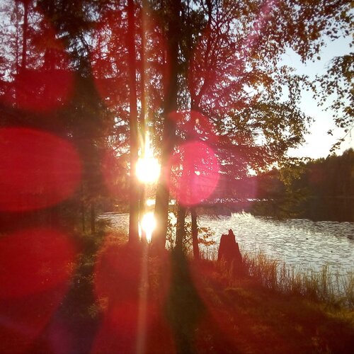 Photo #2443565