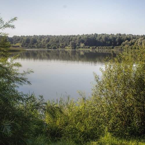 Photo #2443740