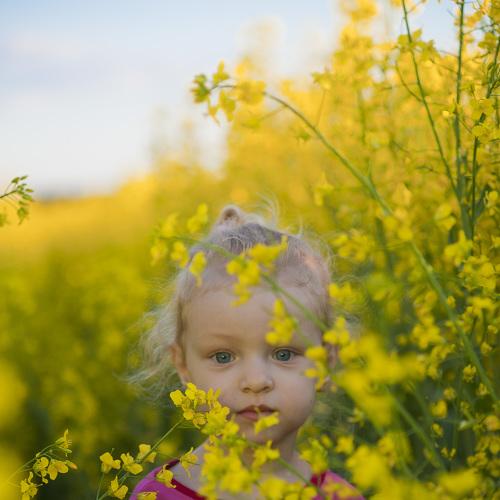 Photo #2444969