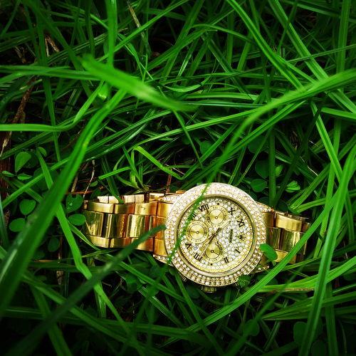 Natue with Rolex