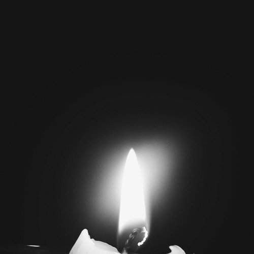 Photo #2446236