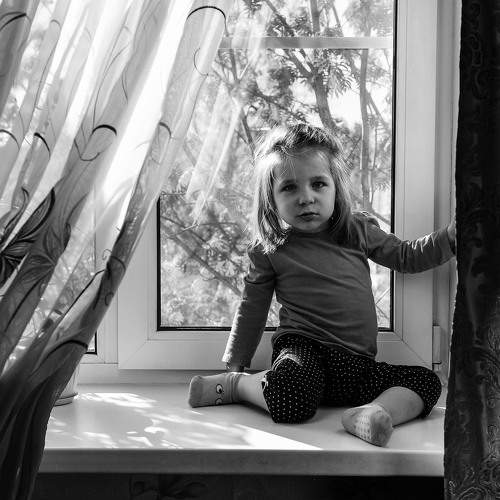 Photo #2446961