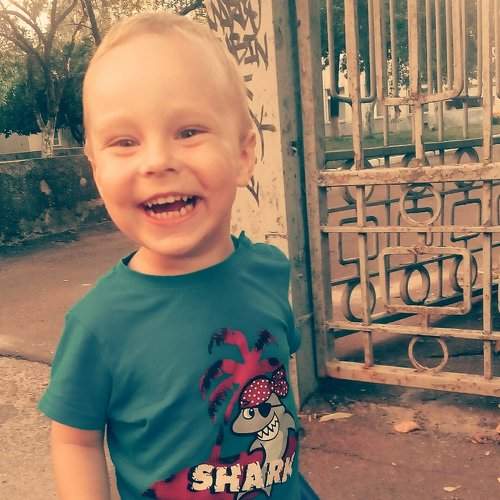 Photo #2448280