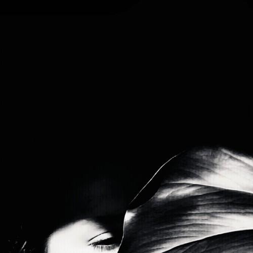 The shadow