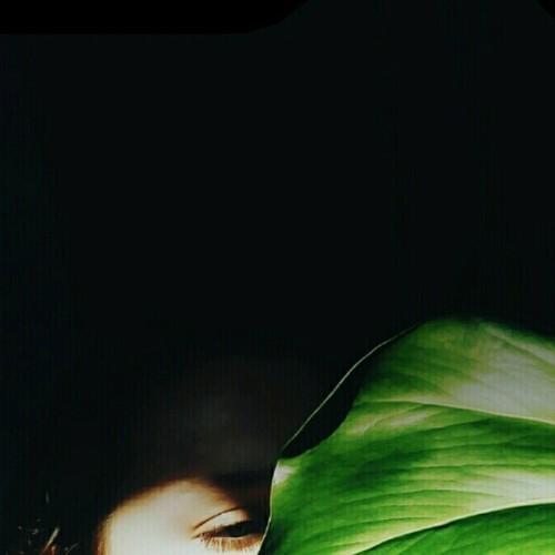 The shadow