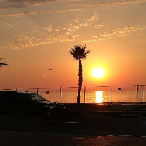 Photo #2448904