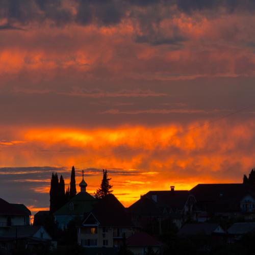Photo #2449359