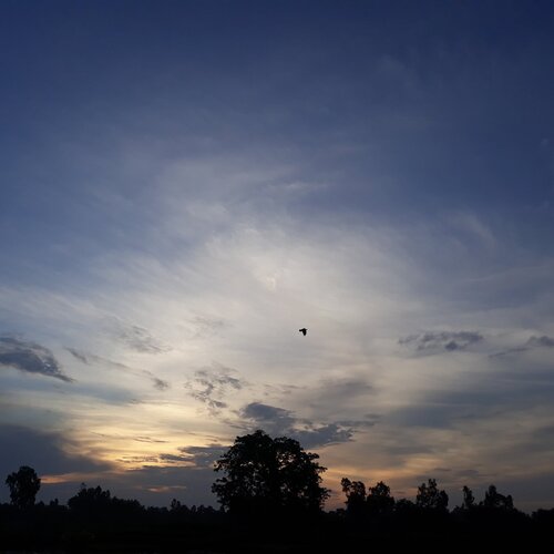 SUNSET AT Janakpurdham, Dhanusha, Nepal