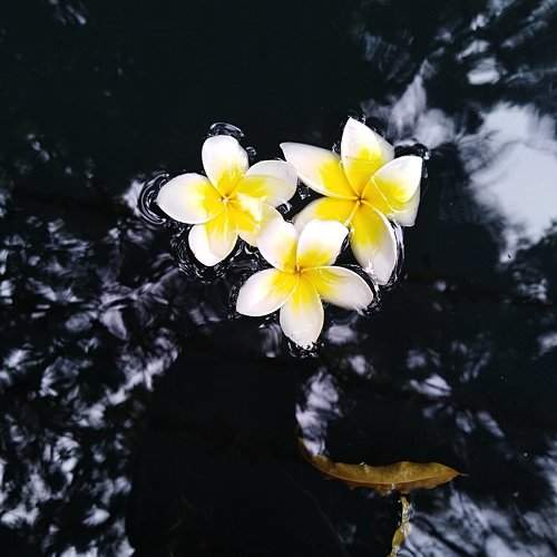 শুভ্রতা