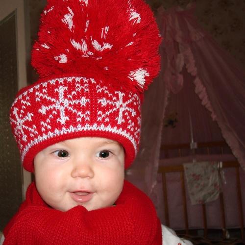 Photo #2449839