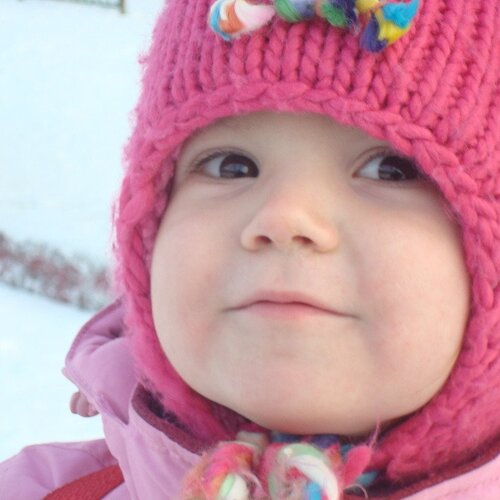 Photo #2449841