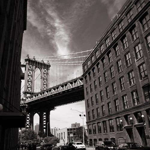 Photo #2449955