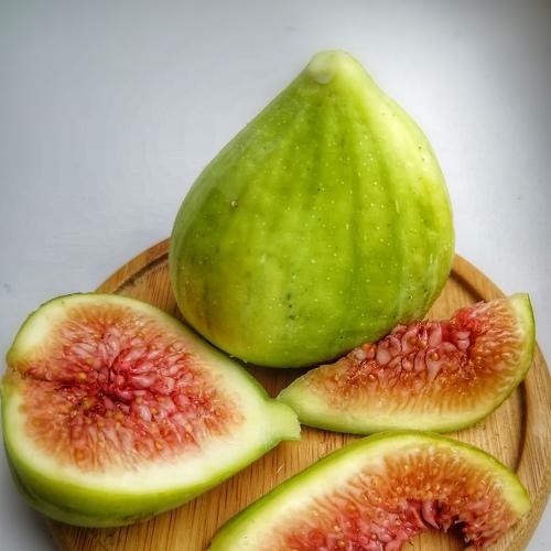 Food art