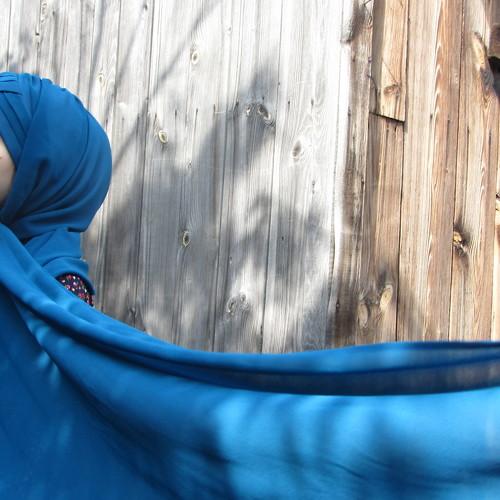 Photo #2451279