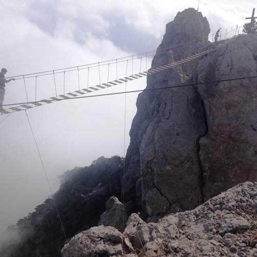 Photo #2453384