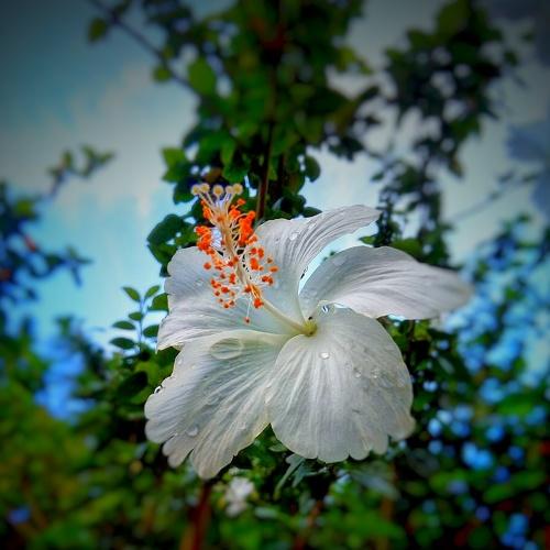 Beauty of nature