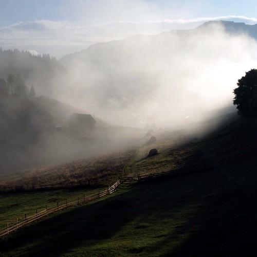 Fog