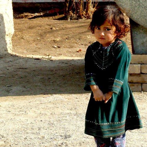 Sareh