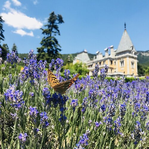 Крымская