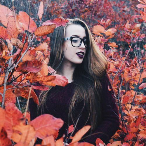 Photo #2457302