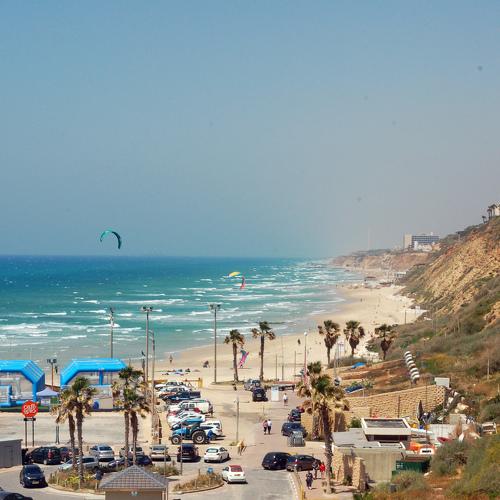 Photo #2457749