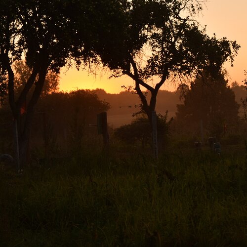 Photo #2457952
