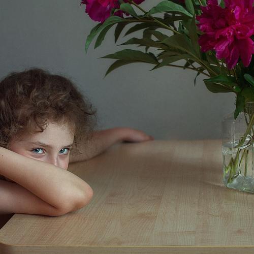 Photo #2458903