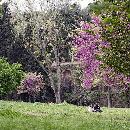 April Garden