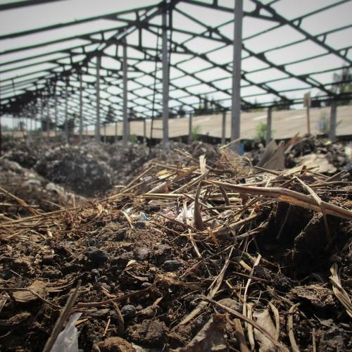 Environmental disaster