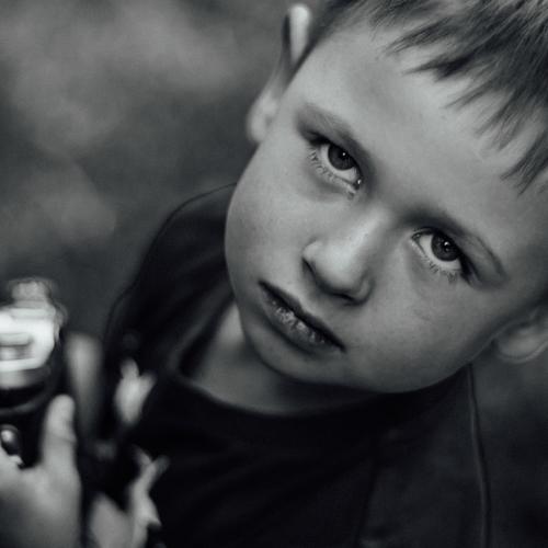 Photo #2460464