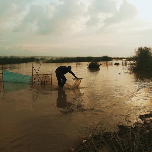 Fisherman in river padma