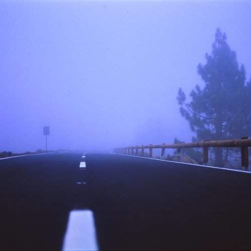 Photo #2461451