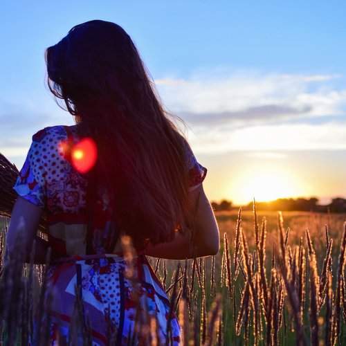 Photo #2461783