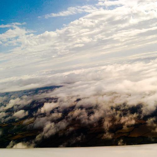 The fog