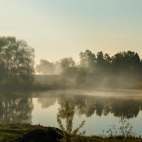 Photo #2462237