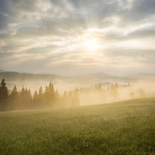Mystery Dawn
