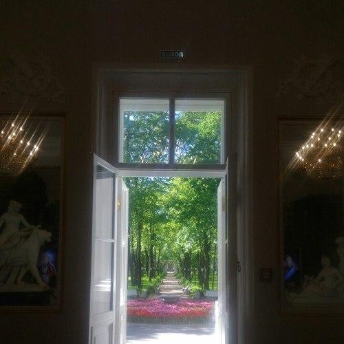 Photo #2463786