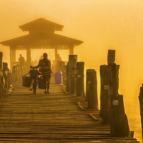 Golden  Morning
